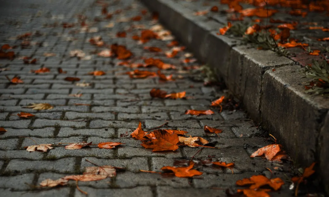 Herbstlaub auf einem gepflasterten Weg an der Bordsteinkante